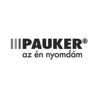 Client Pauker